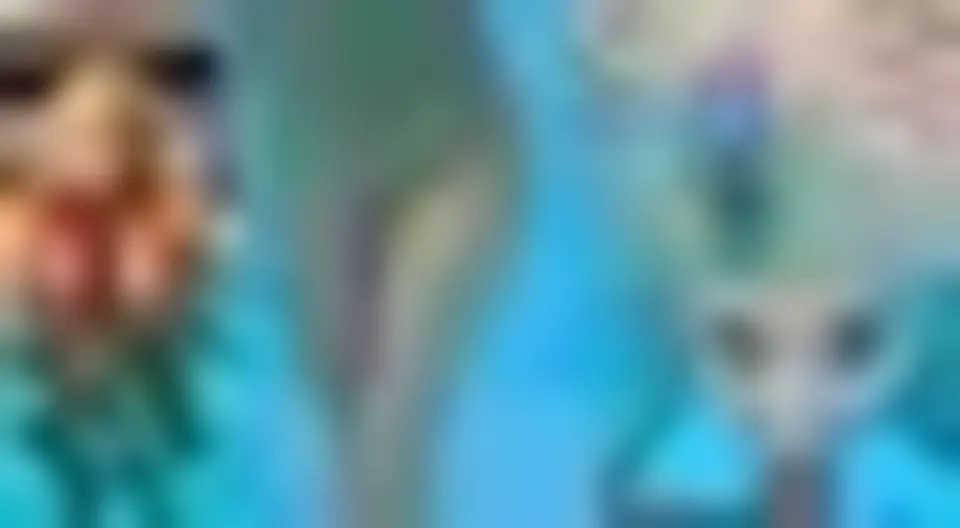 Swimming Pool BJ